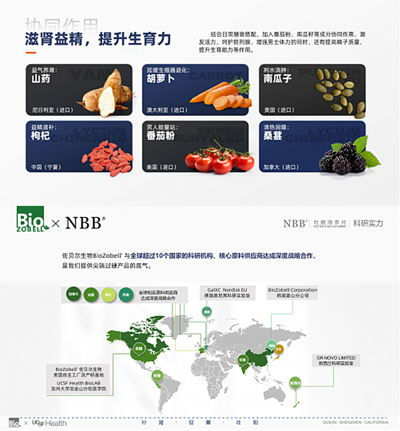 图片[5]-NBB牡蛎海参片 OYSTER SEA CUCUMBER