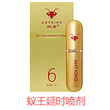 蚁王延时喷剂喷雾 ANTKING